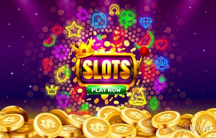 5588bet6