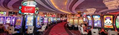 5588bet6